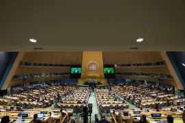 Một phiên ọp của Đại hội đồng Liên hợp quốc ở New York, Mỹ. (Ảnh: AFP/TTXVN)