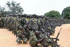 Binh sỹ Nigeria. (Ảnh: Daily Nation/TTXVN)