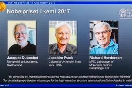 Ba nhà khoa học Jacques Dubochet, Joachim Frank và Richard Henderson. (Ảnh: THX/TTXVN)