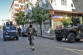Cảnh sát Thổ Nhĩ Kỳ làm nhiệm vụ tại Diyarbakir ngày 3/11 vừa qua. (Ảnh: AFP/TTXVN)