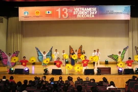 Một tiết mục văn nghệ biểu diễn tại Ngày hội. (Ảnh: Vũ Toàn-Hữu Tuyên/Vietnam+)