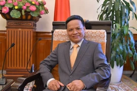 Tiến sỹ Nguyễn Hồng Thao, giảng viên Luật quốc tế tại Học viện Ngoại giao Việt Nam. (Ảnh: TTXVN/phát)