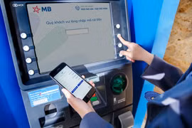 Ảnh minh họa. (Ảnh: CTV/Vietnam+)