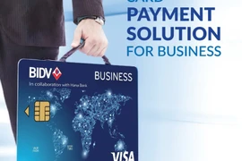 Ảnh minh họa. (Ảnh: CTV/Vietnam+)