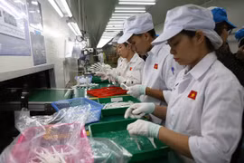 Ảnh minh họa. (Ảnh: PV/Vietnam+)
