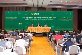 Các cổ đông tham dự tại Đại hội. (Ảnh: CTV/Vietnam+)