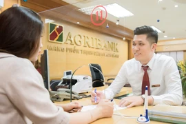 Giao dịch tại Agribank. (Ảnh: CTV/Vietnam+)