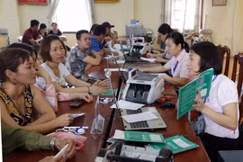 Ảnh minh họa. (Ảnh: CTV/Vietnam+)