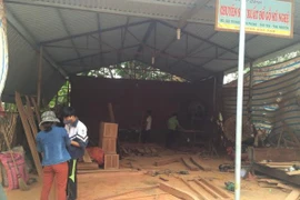 Ảnh minh họa. (Ảnh: PV/Vietnam+)