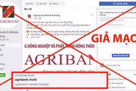 Đây là trang đối tượng làm giả mạo Agribank để lừa khách hàng. (Ảnh: CTV)