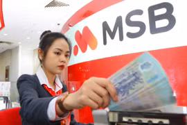 Ảnh minh họa. (Ảnh: CTV/Vietnam+)