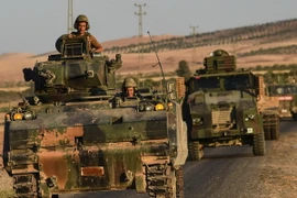 Ảnh minh họa. (Nguồn: AFP/TTXVN)