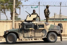 Ảnh minh họa. (Nguồn: THX/TTXVN)