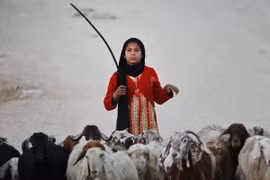Một em nhỏ Palestine chăn cừu tại khu vực Al-Nusirat ở Dải Gaza. (Nguồn: EPA/TTXVN) 