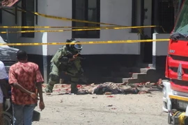 Ảnh minh họa. (Nguồn: AFP/TTXVN)