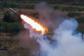 Ảnh minh họa. (Nguồn: EPA/TTXVN)