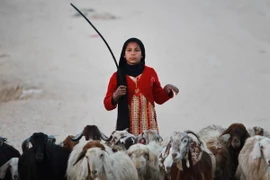 Một em nhỏ Palestine chăn cừu tại khu vực Al-Nusirat ở Dải Gaza. (Nguồn: EPA/TTXVN) 