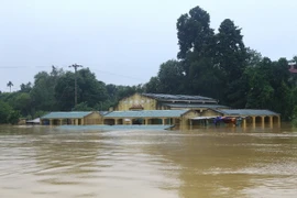 Xã Phương Mỹ, huyện Hương Khê chìm trong biển nước. (Ảnh Minh Quyết/TTXVN) 