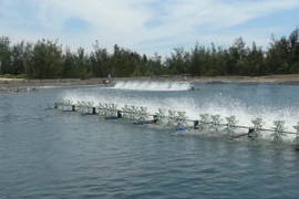 Ảnh minh họa. (Nguồn: TTXVN)