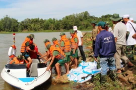Ảnh minh họa. (Nguồn: TTXVN)