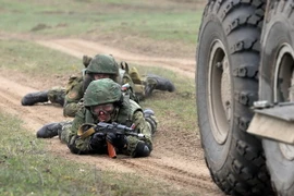 Ảnh minh họa. (Nguồn: AFP/TTXVN)