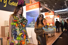 Người đẹp "Hoa quả" đến từ các khu trưng bày xung quanh giới thiệu sản phẩm tại các gian hàng Việt Nam. (Ảnh: Bích Hà/Vietnam+)
