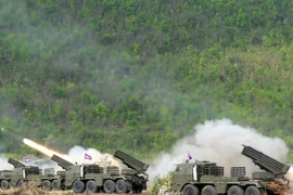 Ảnh minh họa. (Nguồn: AFP/TTXVN)