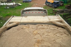 Xe container cắt nóc: Thủ đoạn mới chở hàng quá tải tinh vi