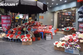 Nhiều cửa hàng quà tặng Valentine tại Hà Nội vắng vẻ trong ngày 14/2.