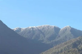 Đỉnh Tà Chì Nhù, xã Xà Hồ, huyện Trạm Tấu. (Ảnh: TTXVN phát)