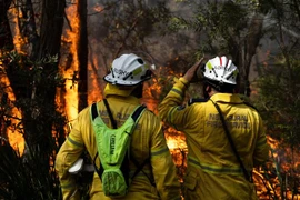 Nhân viên cứu hỏa nỗ lực khống chế các đám cháy rừng ở Bắc Sydney, Australia. (Ảnh: AFP/TTXVN)