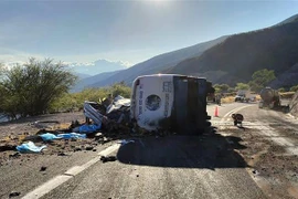 Mexico: Xe chở dân di cư gặp tai nạn thảm khốc, 17 người thiệt mạng 
