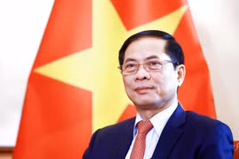 Bộ trưởng Ngoại giao Bùi Thanh Sơn. (Ảnh: TTXVN/phát)