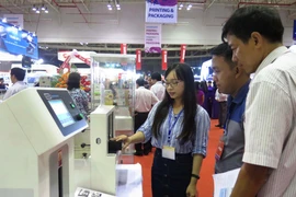 (Ảnh: Hoàng Hải/Vietnam+)