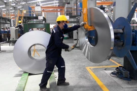 Nhà máy Tôn Hoa Sen tại Khu Công nghiệp Nam Cấm có 12 dây chuyền sản xuất ống thép với tổng công suất thiết kế 100.000 tấn/năm. (Ảnh: PV/Vietnam+)