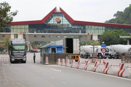 Nhập khẩu hàng hóa tại cửa khẩu Hữu Nghị, Lạng Sơn. (Ảnh: Quang Duy/TTXVN)