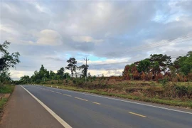 Một đoạn đường Hồ Chí Minh. (Ảnh: Hưng Thịnh/TTXVN)