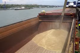 Lúa mỳ được chuyển lên tàu tại cảng quốc tế Rostov-on-Don để vận chuyển tới Thổ Nhĩ Kỳ. (Ảnh: AFP/TTXVN)
