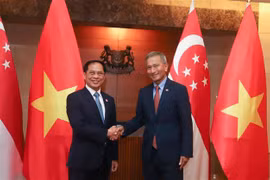 Bộ trưởng Ngoại giao Việt Nam Bùi Thanh Sơn và Bộ trưởng Ngoại giao Singapore Vivian Balakrishnan. (Ảnh: TTXVN phát)