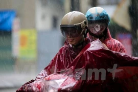 Ảnh minh họa. (Nguồn: Vietnam+)