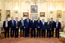 Chủ tịch nước Trần Đại Quang chụp ảnh chung với Chủ tịch Phòng Thương mại và Công nghiệp Ai Cập Ahmed M. El-Wakil (thứ 5, từ trái sang) và các đại biểu. (Nguồn: Nhan Sáng/TTXVN)