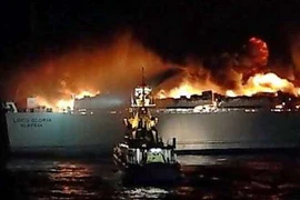 Ảnh chỉ có tính minh họa. (Nguồn: TrendAZ)