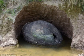 Kì quái ra đồng ruộng bắt gặp trứng khủng long. (Nguồn: Daily Mail)