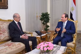 Nội các của Thủ tướng Ai cập Sharif Ismail (trái) đệ đơn từ chức. (Nguồn: THX/TTXVN)