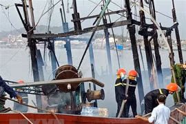 Ảnh minh họa. (Nguồn: Tá Chuyên/TTXVN)