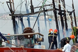 Ảnh minh họa. (Nguồn: Tá Chuyên/TTXVN)