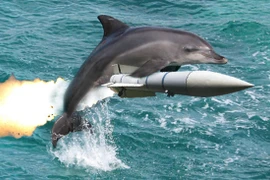 Liệu cá heo sẽ thay thế con người làm chủ Trái Đất? (Nguồn: Funny Animal)