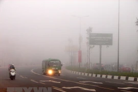 (Ảnh minh họa: Dương Chí Tưởng/TTXVN)