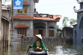 Tình hình ngập lụt tại huyện Chương Mỹ, Hà Nội. (Nguồn: Vietnam+)