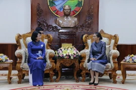 Phó Chủ tịch nước Đặng Thị Ngọc Thịnh hội kiến Chủ tịch Quốc hội Lào Pany Yathotou. (Nguồn: Phạm Kiên/TTXVN)